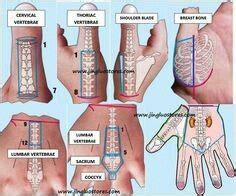 Su Jok Skeletal Maps Acupressure Treatment Acupressure Therapy