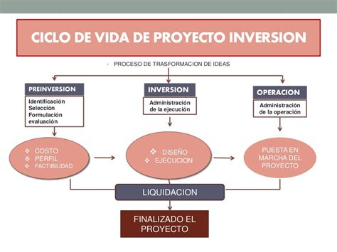 Proyectos De Inversion Mapa Mental Definicion Y Conceptualizacion De Images