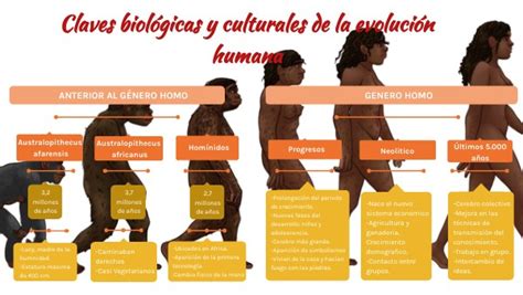 Claves Biológicas Y Culturales De La Evolución Humana