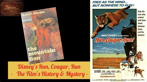 Disney S Run Cougar Run The Films History And Mystery YouTube