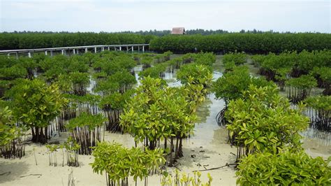 Kepulauan Seribu National Park - ASEAN Centre for Biodiversity