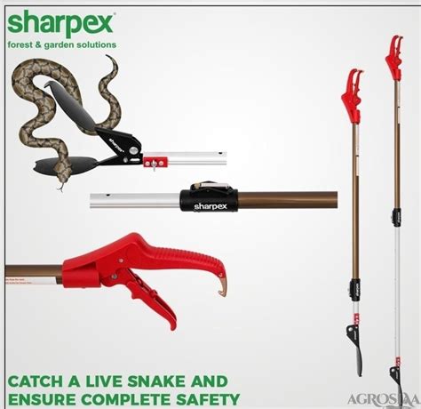 Snake Catcher Stick At 2250 Masjid Mumbai ID 20221032162