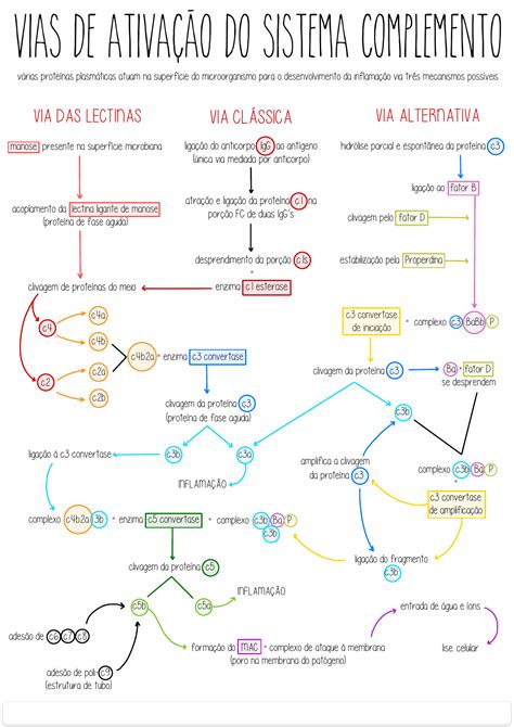 Sistema Complemento Mapa Mental Sistema Complemento Imunologia The