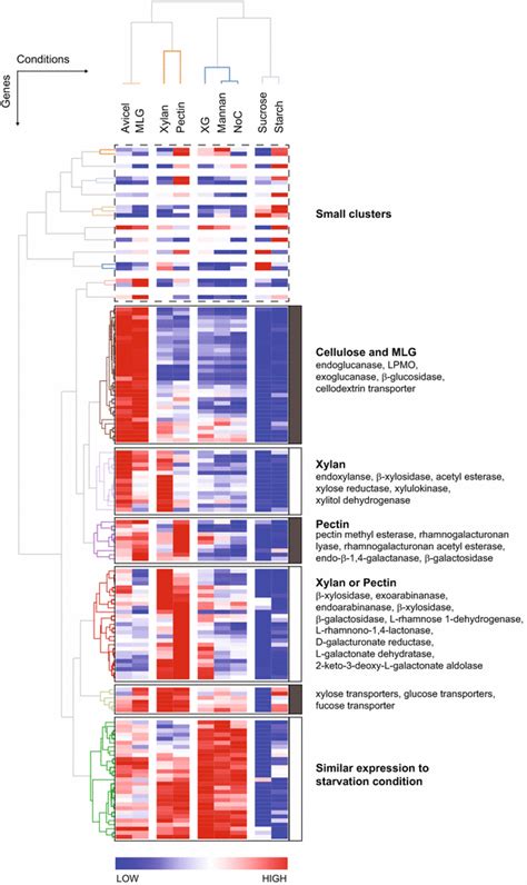 Hierarchical Clustering Of Transcriptome Profiles Within The Context Of