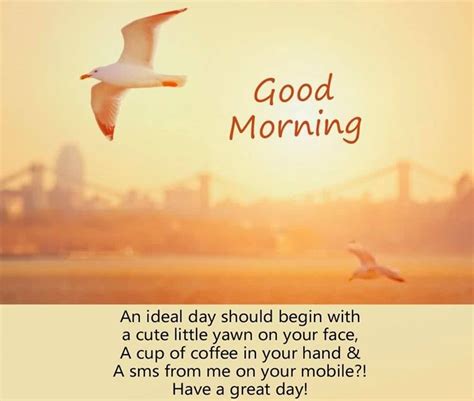 28 Amazing Good Morning Quotes And Wishes With Beautiful Images