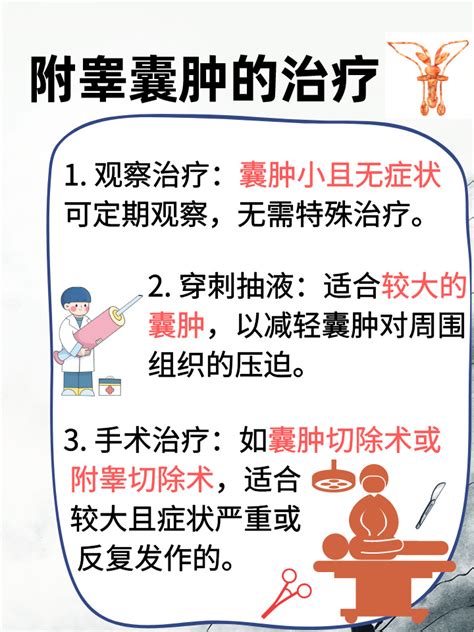 为什么会附睾囊肿？治疗与预防不可忽视 家庭医生在线家庭医生在线首页频道