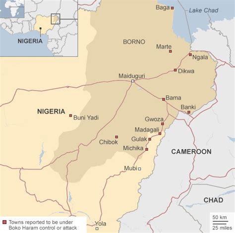 Nigerias Boko Haram Baga Destruction Shown In Images Bbc News