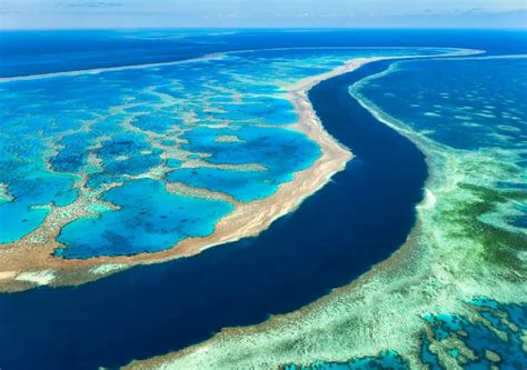 Australia S Great Barrier Reef Should Be On In Danger List Says Un Panel