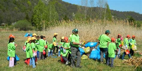 Via A De Mla Tin Activitate De Ecologizare A Elevilor Coala