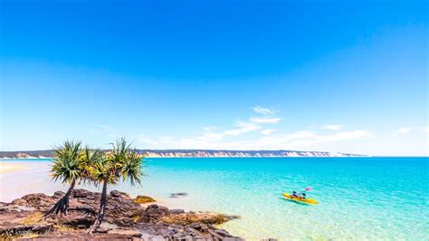 Noosa Dolphin View Kayak Tour Great Beach Drive Adventure Boat Tour