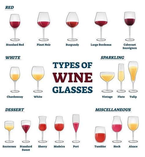 Infographic Types Of Wine Glasses Artofit