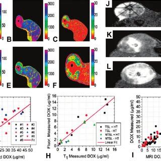 Nanotheranostics And Image Guided Drug Delivery Schematic