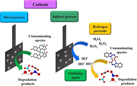 Scielo Brasil Biochar And Hydrochar In The Development And Application Of Electrochemical