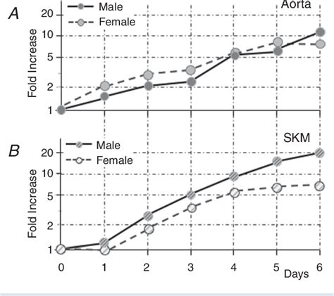 Figure 5 From Sex Differences Influencing Micro And Macrovascular