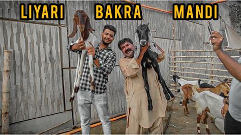 Liyari Bakra Mandi Rates Update Sasti Bakra Mandi Sabse Sasti Bakra