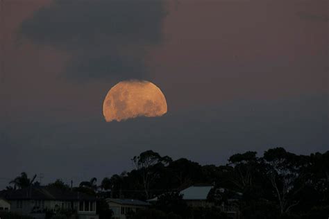 Blue supermoon lunar eclipse captivates photographers - CNET