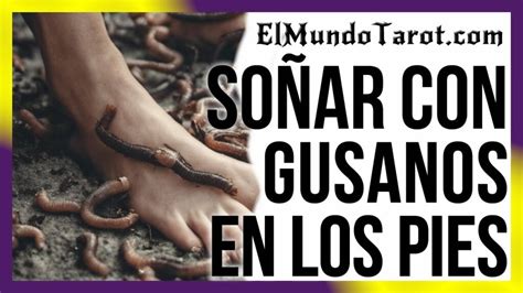 🐛💭 ¿qué Significa Soñar Con Gusanos En Los Pies Descubre Su