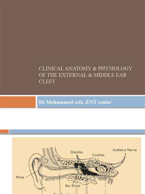 Diseases of External Ear | PDF | Ear | Audiology