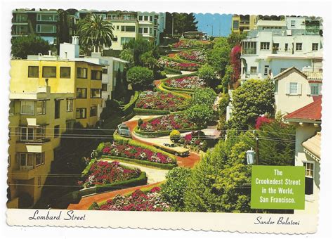 CA San Francisco Lombard Street Crookedest in World Vintage Postcard 4X6