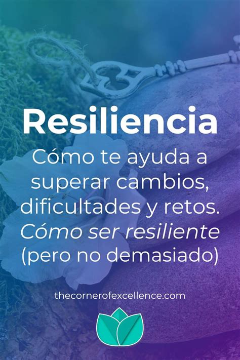 Qu Significa Resiliencia Y C Mo Entrenarla The Corner Of Excellence