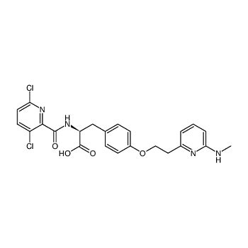 Fluorochem 080286 2 Chloro N ethyl N methylacetamide 2746 07 8 实验室用品商城