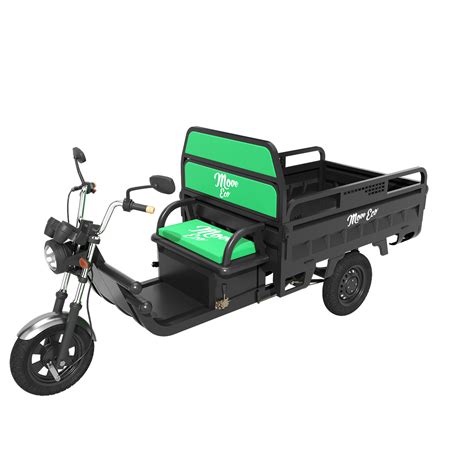 Tricycle Electric Cargo 500 3 Wheel Off Road Move Eco Uk