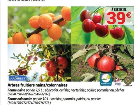 Promo Arbres Fruitiers Nains Colonnaires Jardibest Chez Bricorama