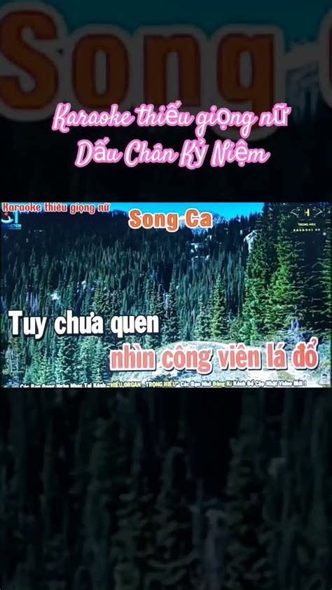 D U Ch N K Ni M Karaoke Thi U Gi Ng N H T C Ng Ph M Hi U