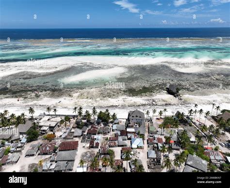 Zanzibar (Pingwe Beach on the largest island of the Zanzibar ...