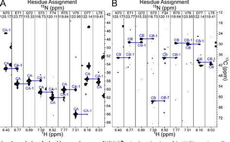 Figure 6 from NMR directed design of pre TCRβ and pMHC molecules