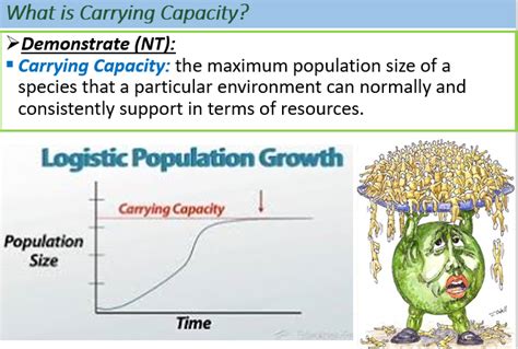 Describe The Concept Of Carrying Capacity For A Species