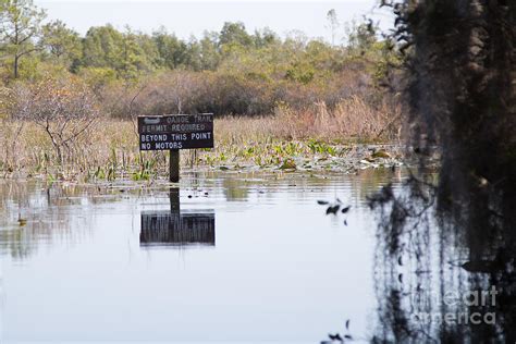 Swamp Signs Photograph By Andy Miller Pixels