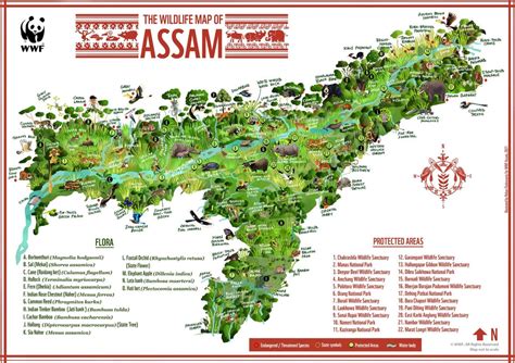 Biodiversity Map of Assam : r/assam