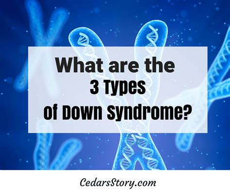 3 Types of Down Syndrome - Cedars Story