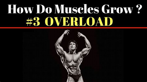 How Do Muscles Grow 3 Progressive Overload Youtube