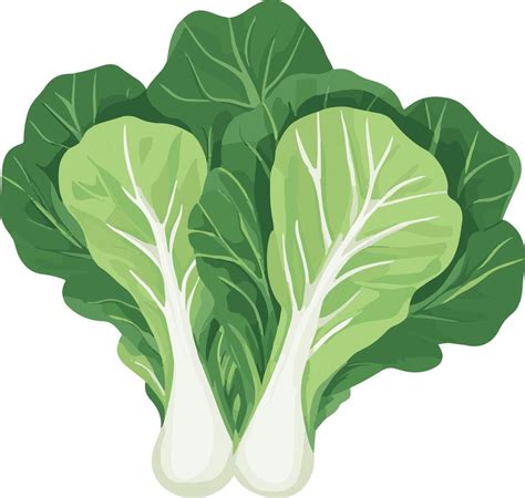 clip art pechay