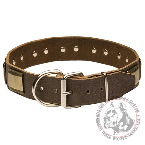 Order Leather Pitbull Collar with Vintage Plates | Dog Supplies