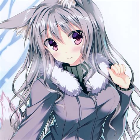 Download Coat Animal Ears Blush Purple Eyes White Hair Long Hair Anime