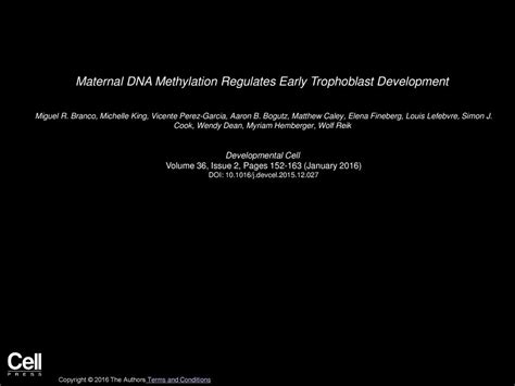 Maternal Dna Methylation Regulates Early Trophoblast Development Ppt