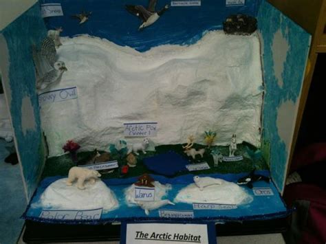 Arctic Fox Habitat Diorama