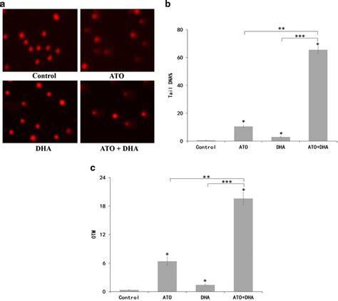 Synergistic Effects Of Ato And Dha On Dna Damage In A549 Cells Cells