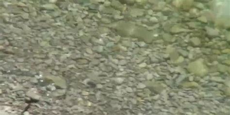 Free Beach Voyeur Blowjob Porn Videos Sex Movies TNAFLIX
