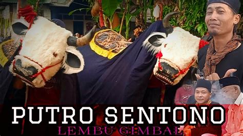 🔴dj Bantengan ‼️putro Sentono Lembu Gimbal Live Dsn Belandit