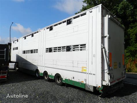 PEZZAIOLI SBA31 Obnizona Lowered Livestock Semi Trailer For Sale