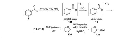 Scheme 29 Proposed Mechanism For The C Sp 3 H Alkylation Arylation