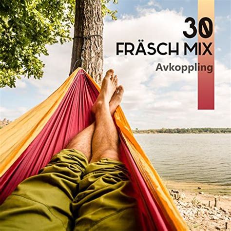 Play Fr Sch Mix Avkoppling Instrumental Bakgrund Musik F R Spa