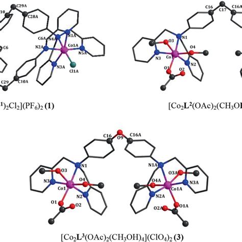 Chemical Structures Of L¹l³ And Synthetic Route For Complexes 13 Download Scientific Diagram