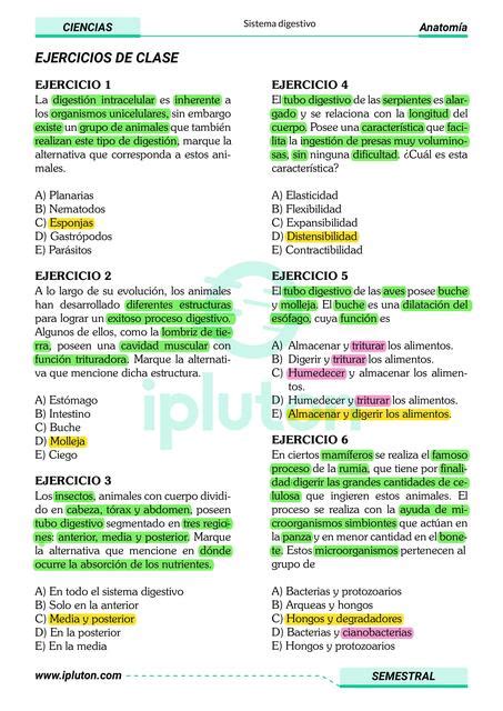 Sistema Digestivo GABRIEL EDUARDO BARUA HORNA UDocz