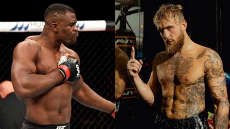 Jake Paul réagit à la signature de Francis Ngannou au PFL