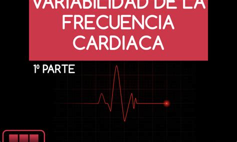 ¿qué Significan 48 Pulsaciones En Reposo Y Cómo Lograrlas Para Mejorar Tu Salud Cardiovascular